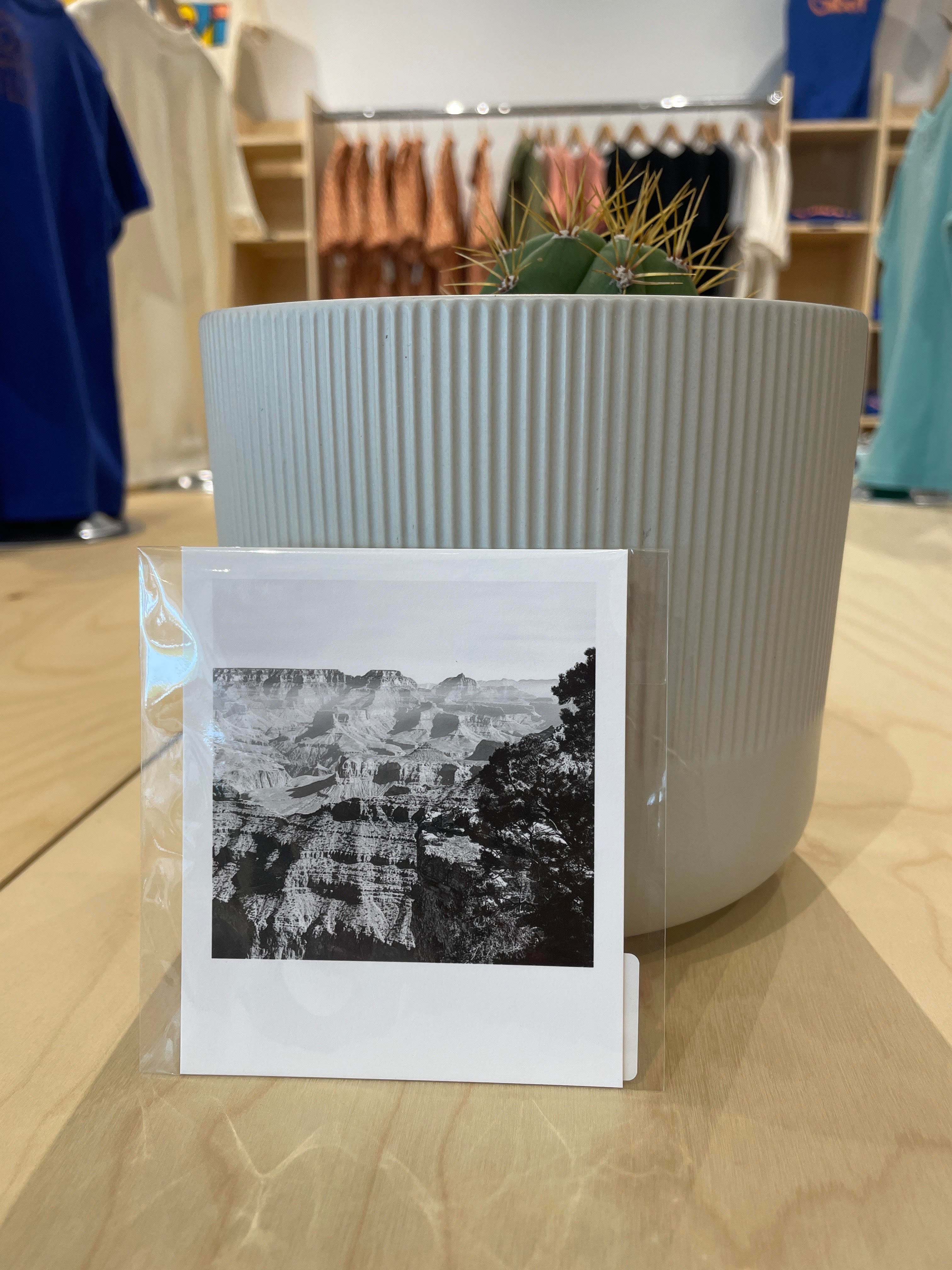 (C) Polaroid - Grand Canyon