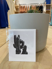 (C) Polaroid - Saguaro - Look Up