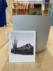 (C) Polaroid - Large Cactus & Mtn