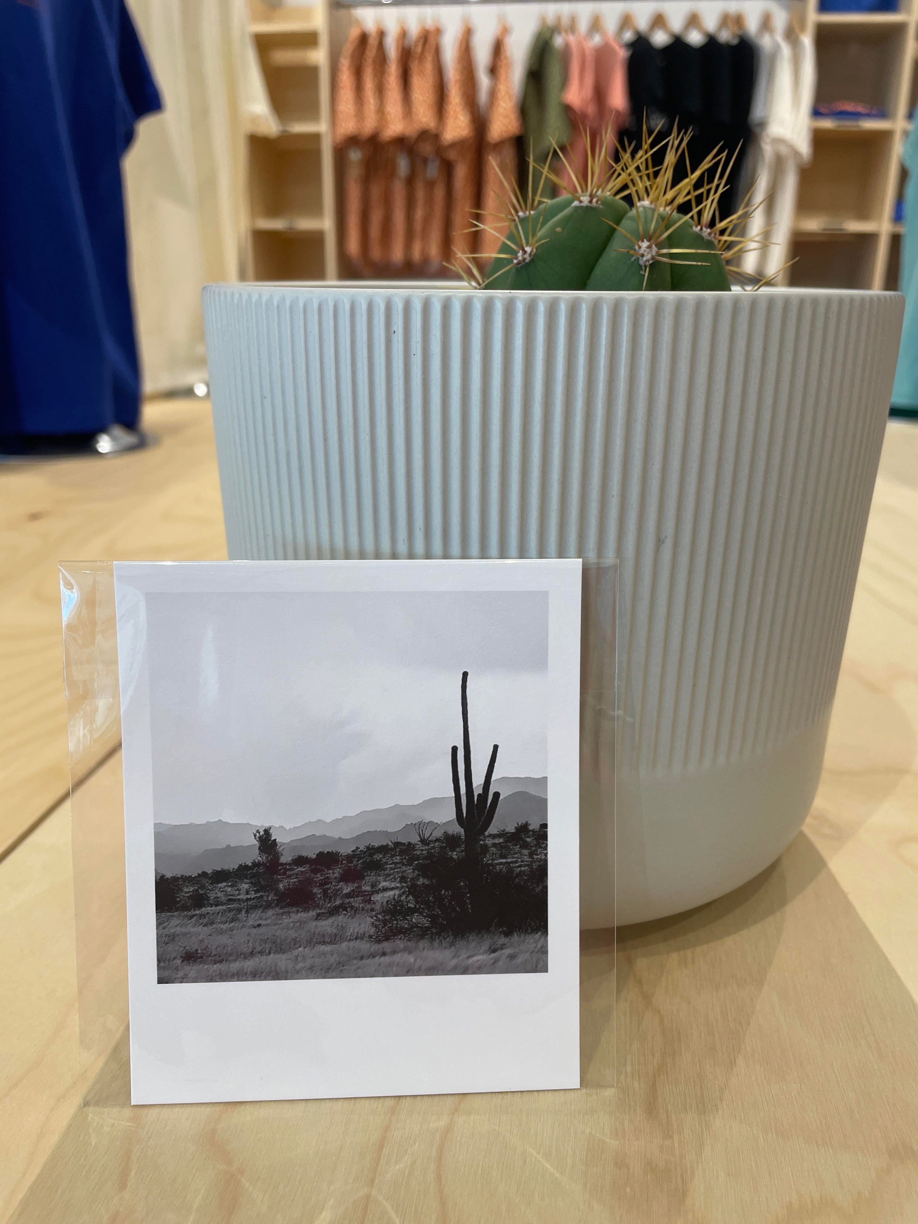 (C) Polaroid - Road Trip - 87A