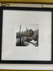 (C) Framed Print