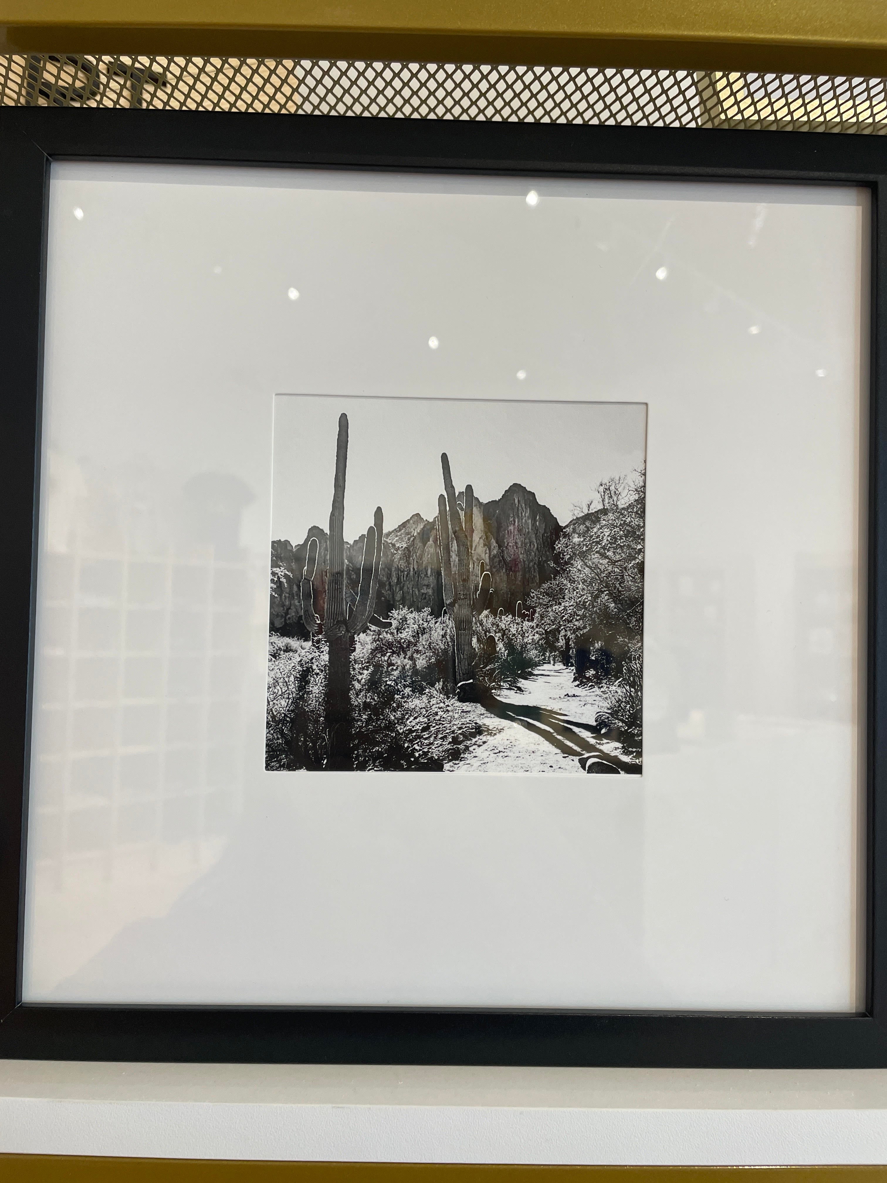 (C) Framed Print