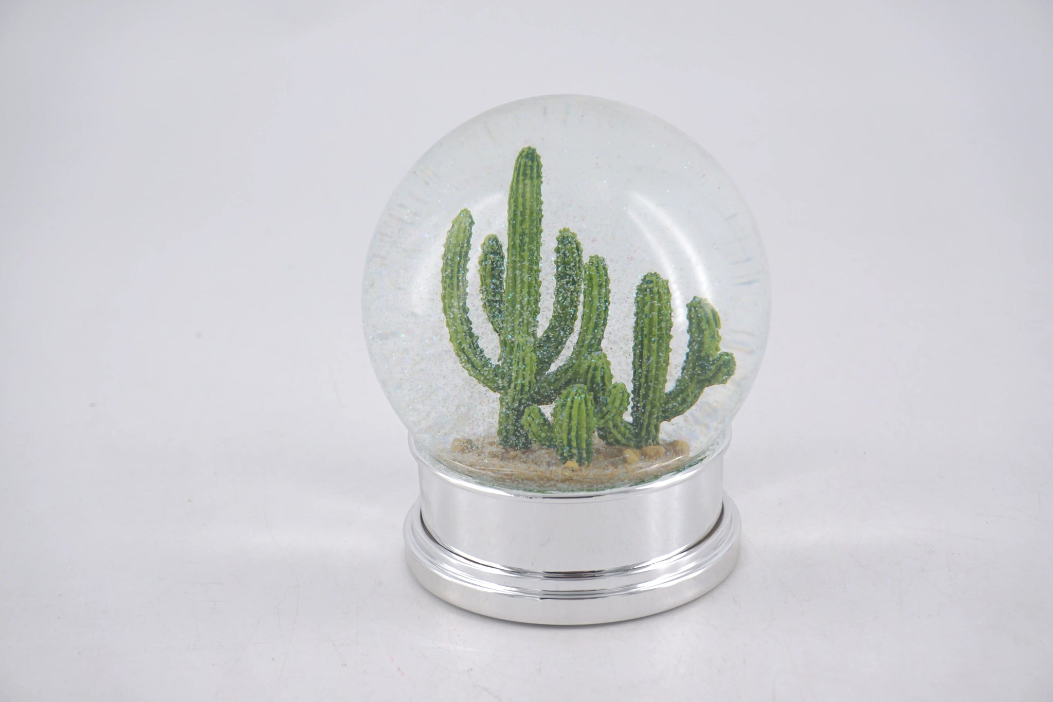 Cactus Desert Snow Globe