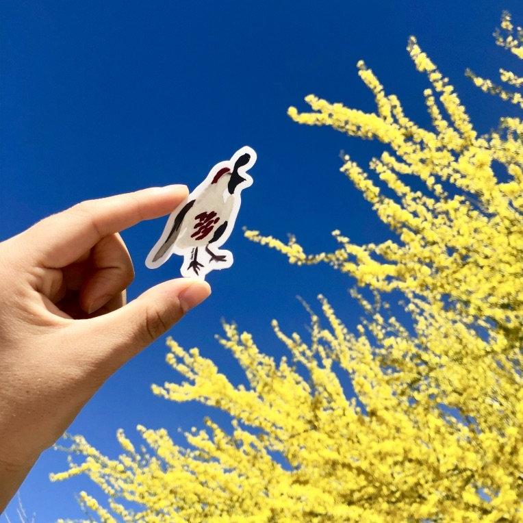 Desert Quail Sticker