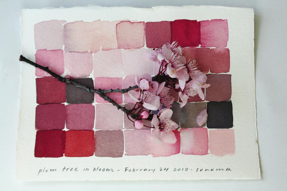 Local Color: Seeing Place Through Watercolor