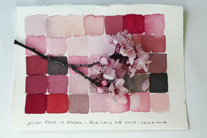 Local Color: Seeing Place Through Watercolor