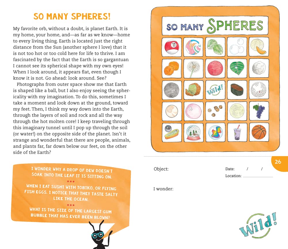 Wonder Hunt: A Seek-and-Find Adventure