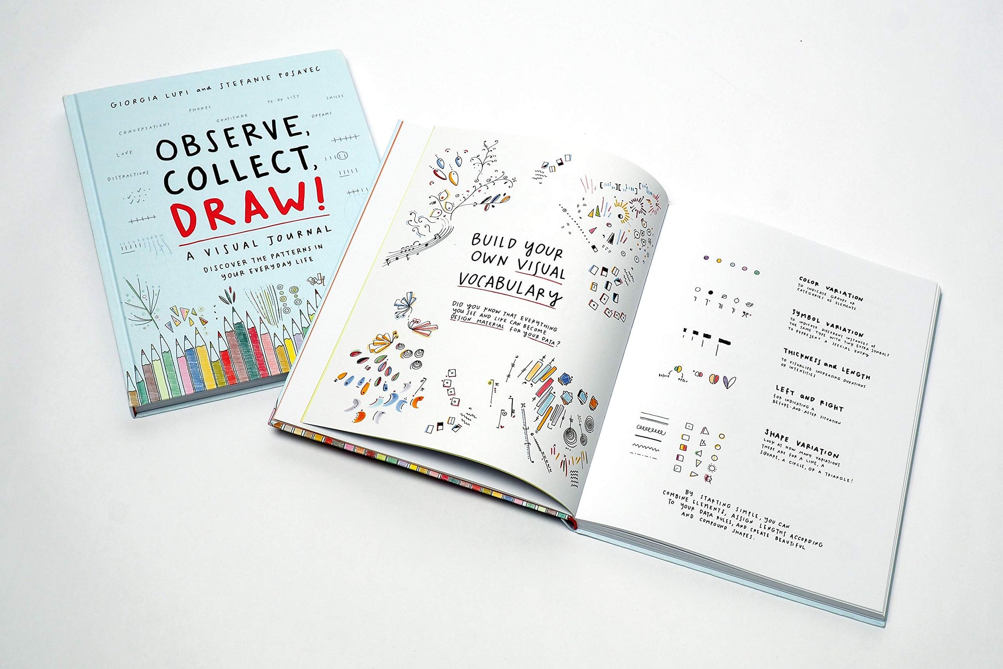 Observe, Collect, Draw!: A Visual Journal