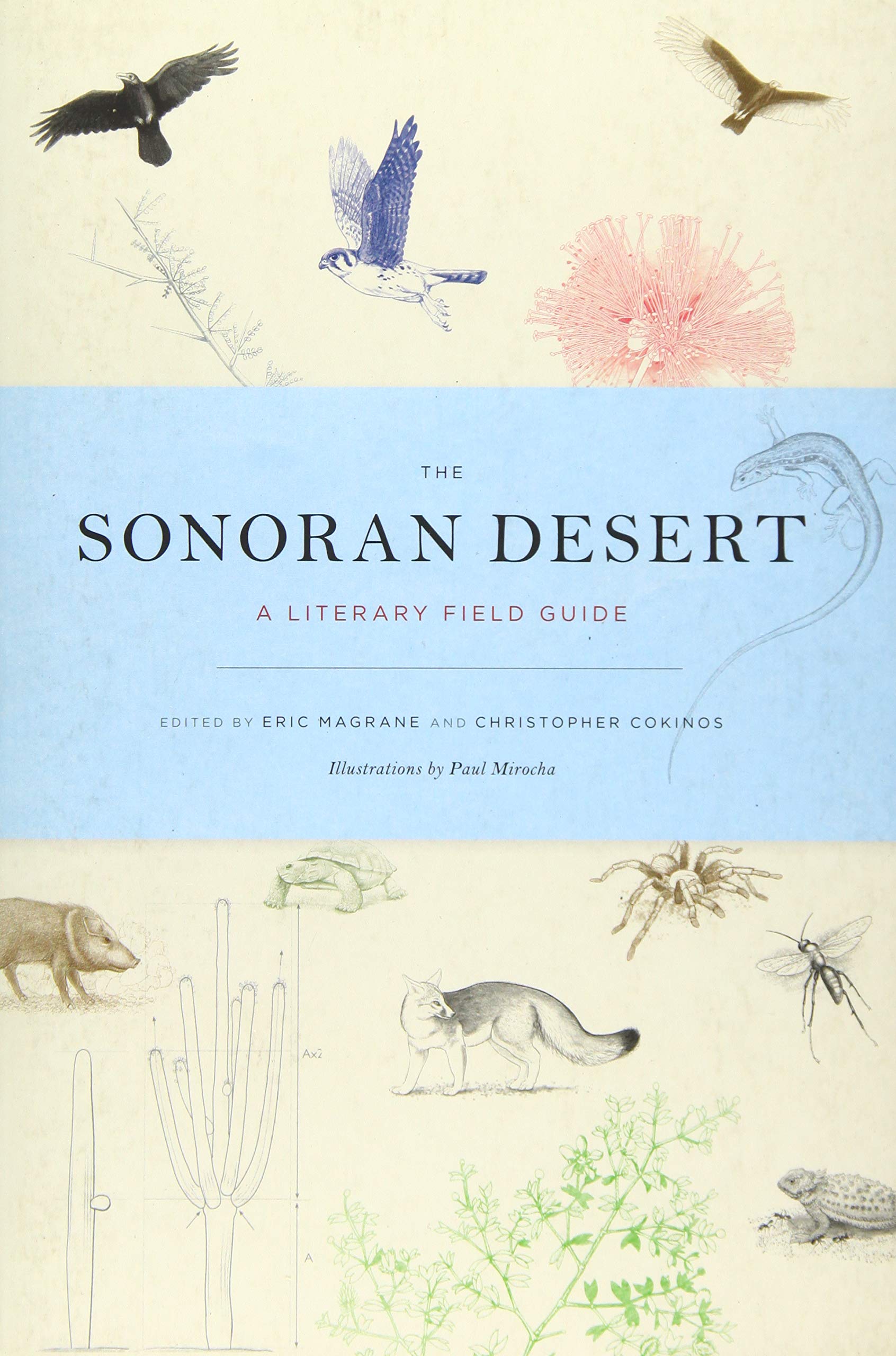 The Sonoran Desert: A Literary Field Guide