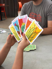 Prickly Pairs Card Game