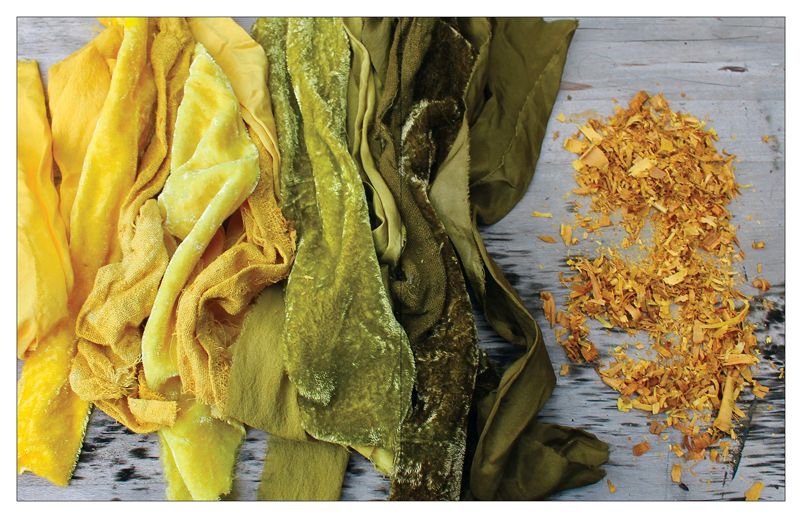 Natural Palettes: Inspiration from Plant-Based Color