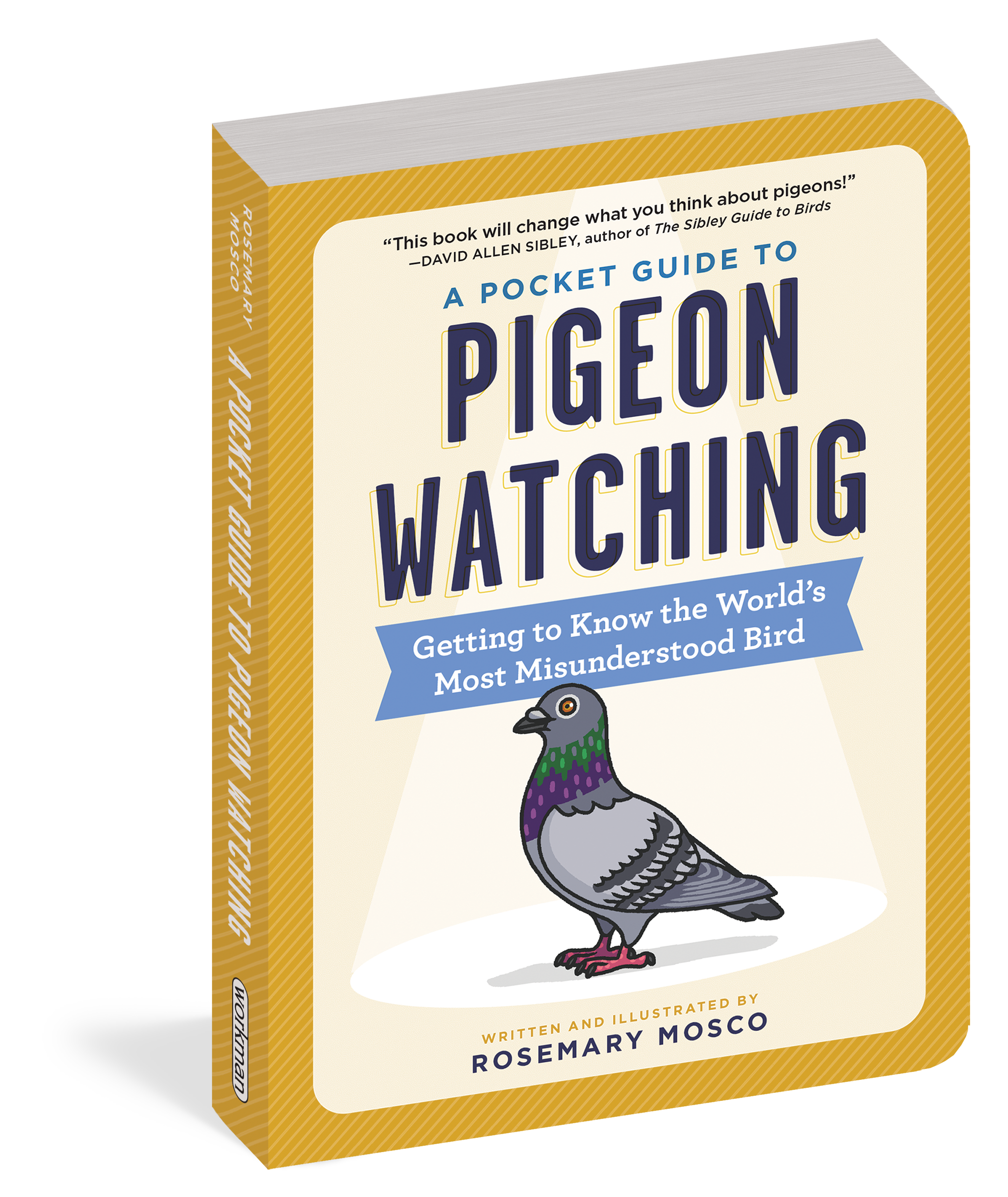 A Pocket Guide to Pigeon Watching