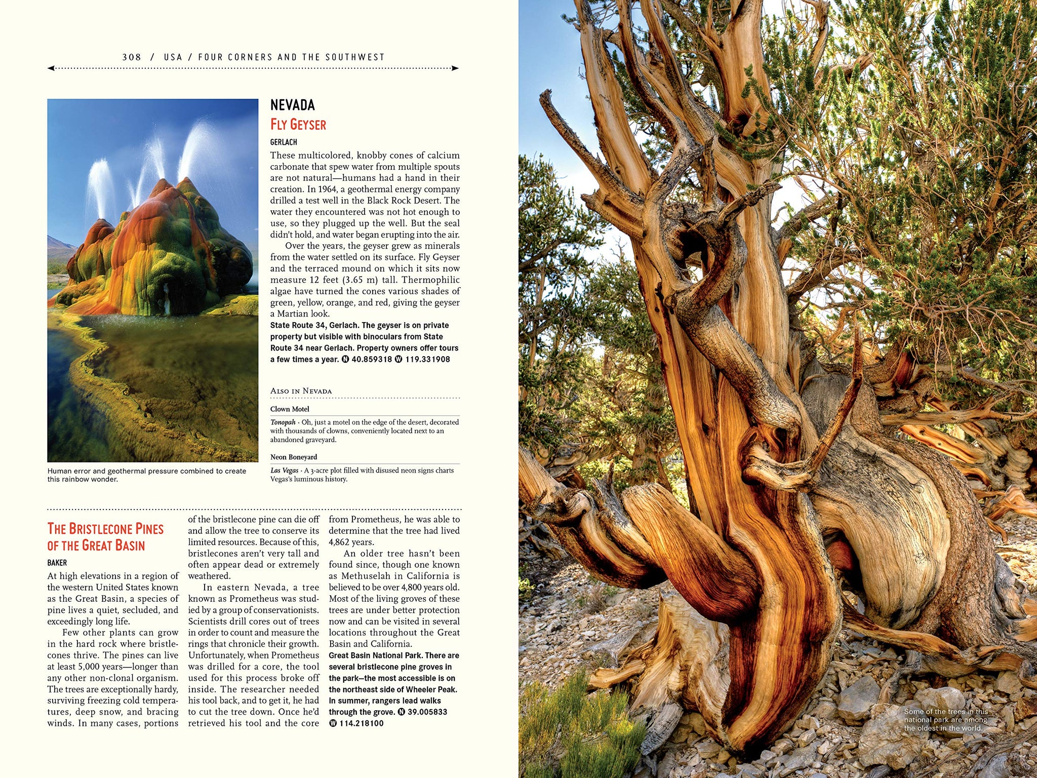 Atlas Obscura: An Explorer's Guide to the World's Hidden Wonders