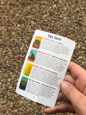 Prickly Pairs Card Game