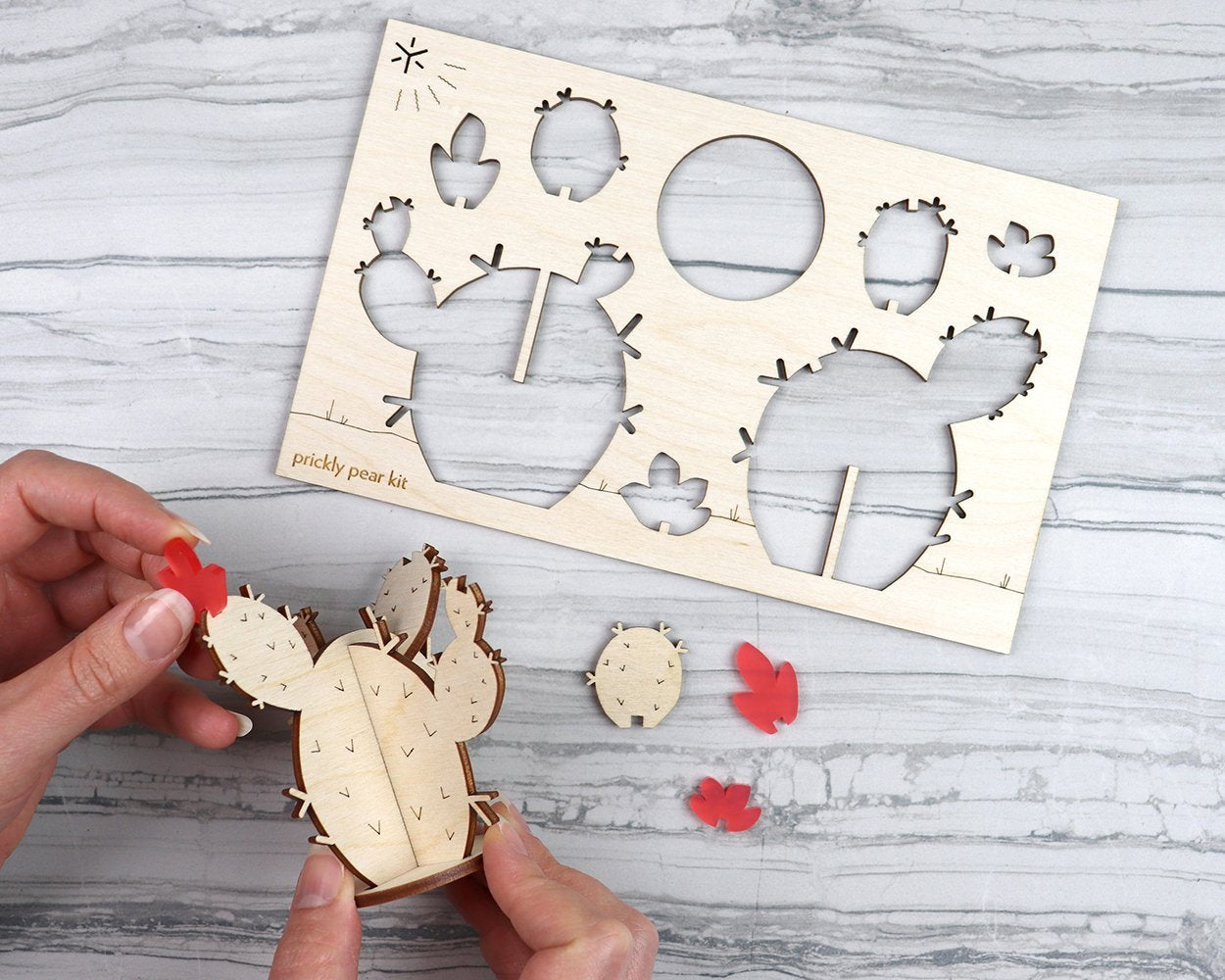 Prickly Pear Cactus Kit