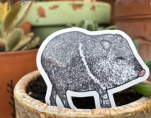 Javelina Sticker