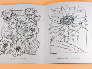 Cacti Oasis Coloring Book