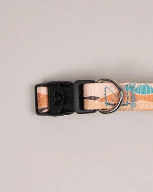 Recycled Dog Collar | Sonoran