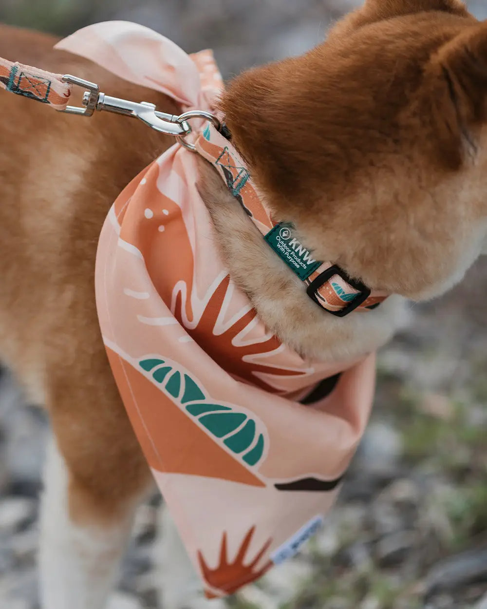 Recycled Dog Bandana | Sonoran