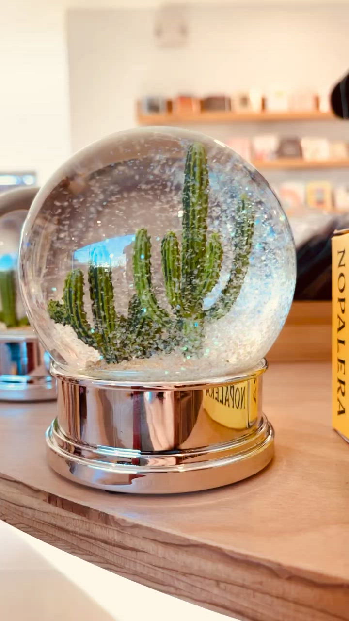 Cargar vídeo: Cactus Desert Snow Globe