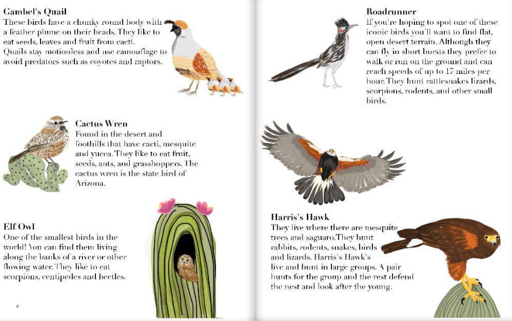 Sonoran Desert Explorers: A Field Guide for Little Naturalists
